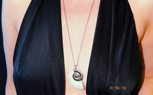 Silver Shell Necklace